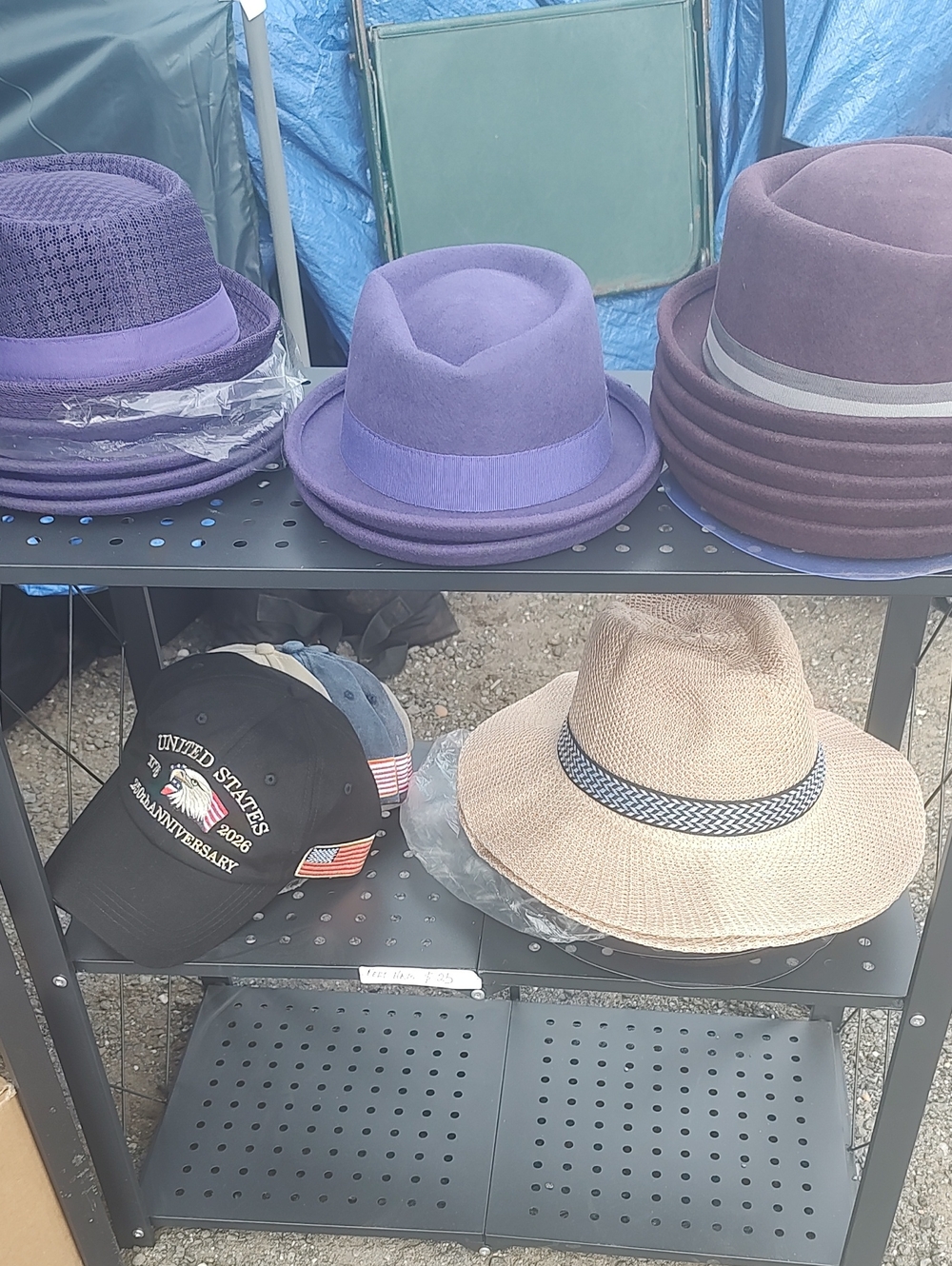 Men's Purple Felt Fedora Hat with Grosgrain Band